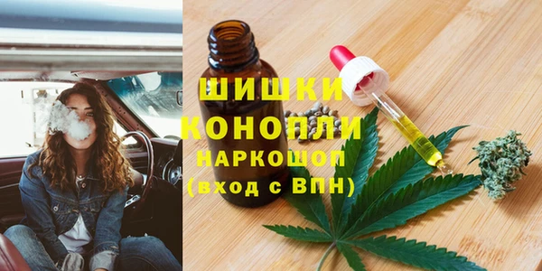 МДПВ Богородск