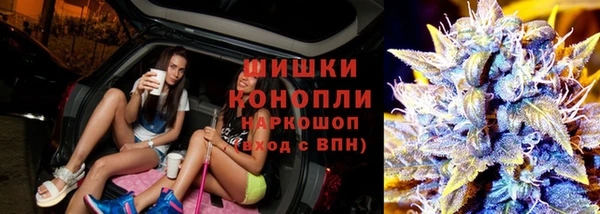МДПВ Богородск