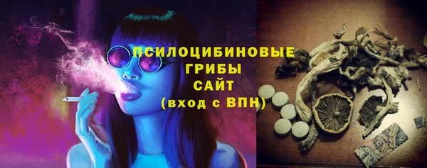 a pvp Богородицк