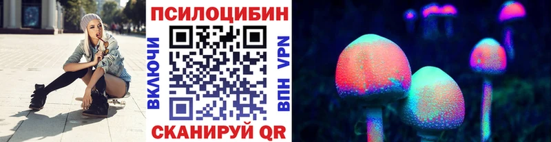 это телеграм  купить наркотики сайты  Кодинск  Галлюциногенные грибы Psilocybine cubensis  omg зеркало 